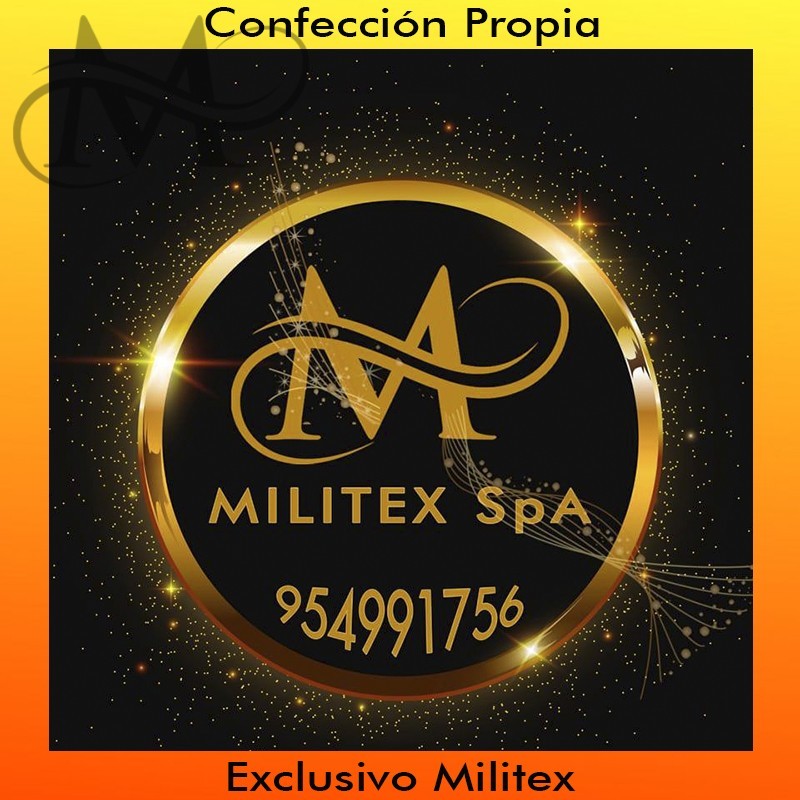 MILITEX SPA EMPRESA VALDIVIANA